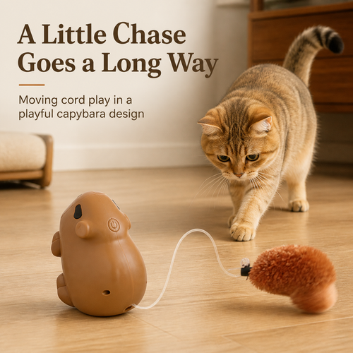 HYGEON CapyPlay Automatic Cord Cat Toy, Brown